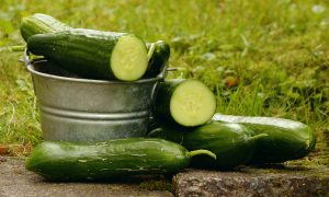 cucumbers-1588945_1920